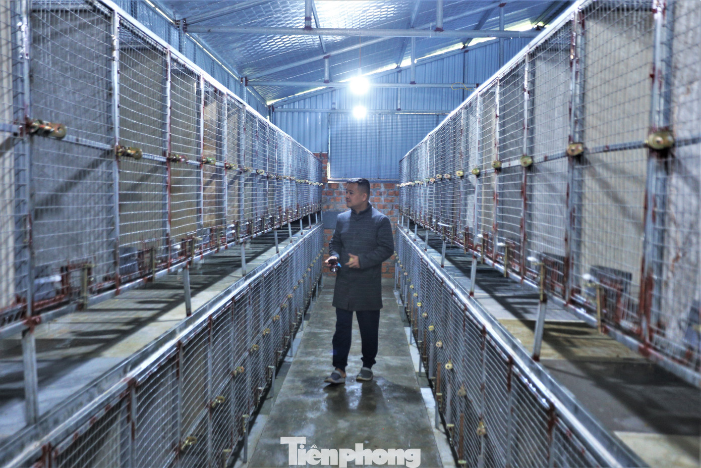 Chủ trang trại cho biết, năm 2019, anh cùng một số người bạn vào miền Nam tìm hiểu, học hỏi kinh nghiệm tại các trang trại nuôi chồn hương. Trở về quê, sau khi được cơ quan chức năng cấp phép, anh đã mua 50 con giống về nuôi.