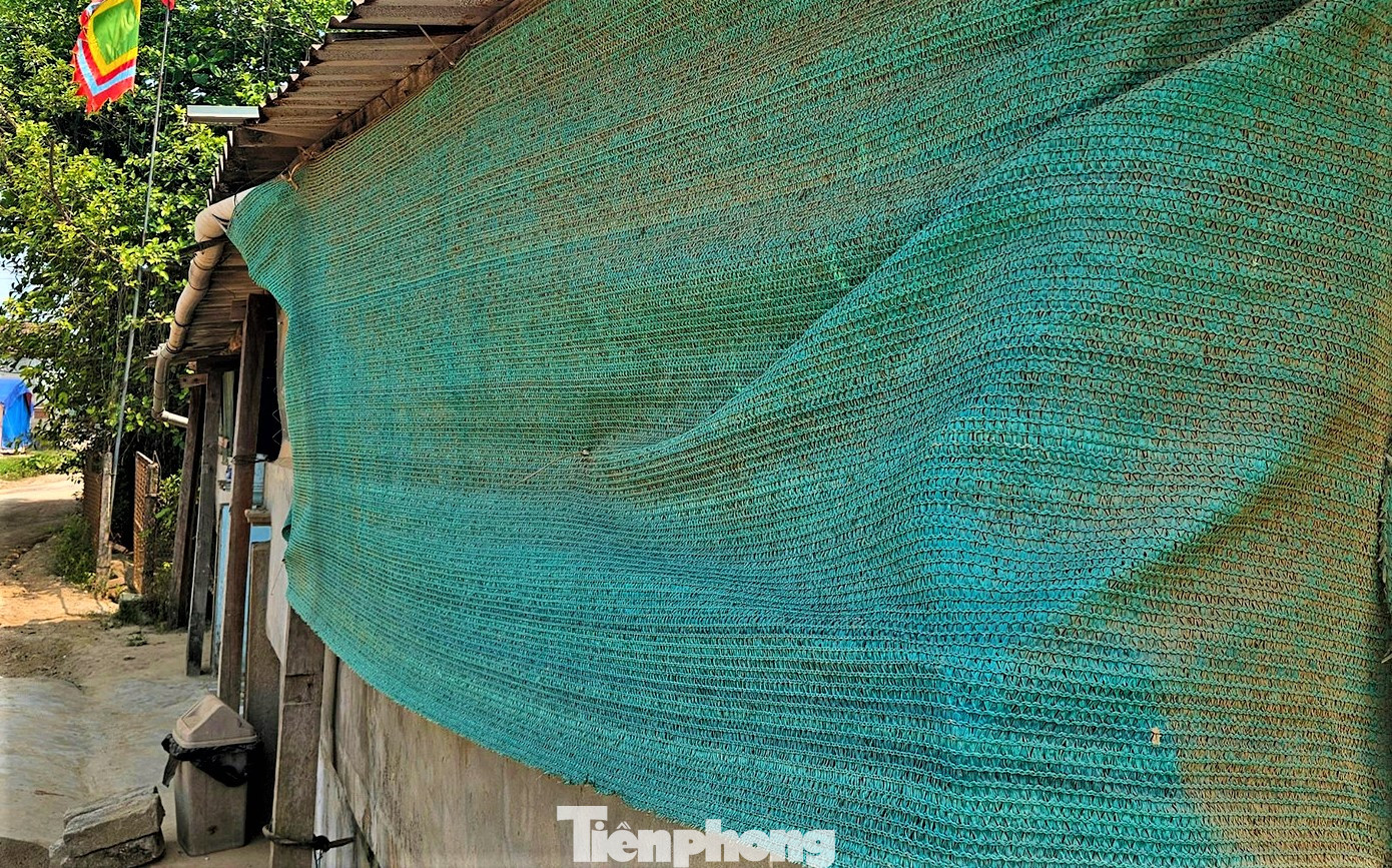 Nhiều nhà dân phải dùng tấm bạt che bụi song bụi bám kín. Theo BQL Dự án đầu tư xây dựng khu vực Khu kinh tế tỉnh Hà Tĩnh - chủ đầu tư dự án cho biết đoạn đường trên chưa được thi công do thiếu nguồn vốn. Đơn vị đang chờ HĐND tỉnh họp, xem xét và bố trí nguồn kinh phí sẽ triển khai. Nhiều nhà dân phải dùng tấm bạt che bụi song bụi bám kín. Theo BQL Dự án đầu tư xây dựng khu vực Khu kinh tế tỉnh Hà Tĩnh - chủ đầu tư dự án cho biết đoạn đường trên chưa được thi công do thiếu nguồn vốn. Đơn vị đang chờ HĐND tỉnh họp, xem xét và bố trí nguồn kinh phí sẽ triển khai.