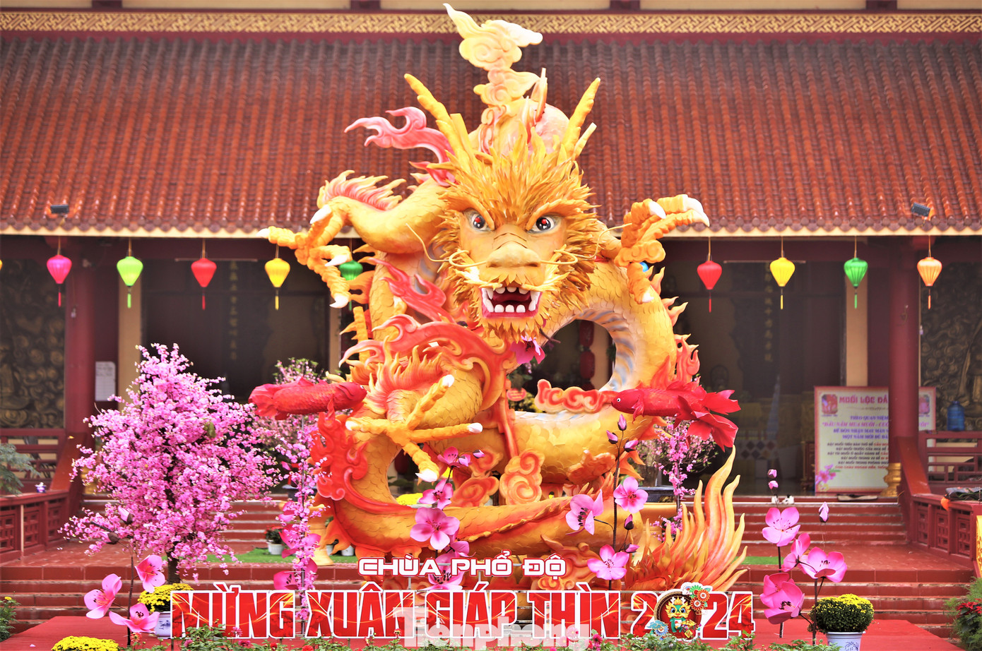 Linh vật rồng này cao khoảng 8m, dài 27m được làm từ vật liệu chủ yếu là xốp.