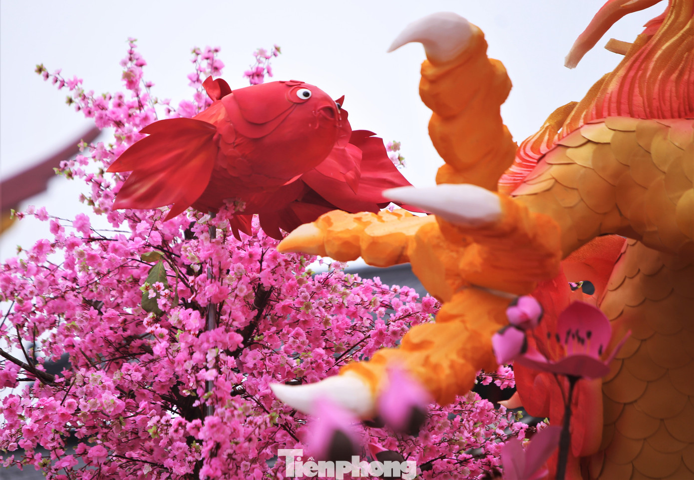 Quanh linh vật còn được trang trí 2 con cá chép đỏ lớn cùng các loại hoa.