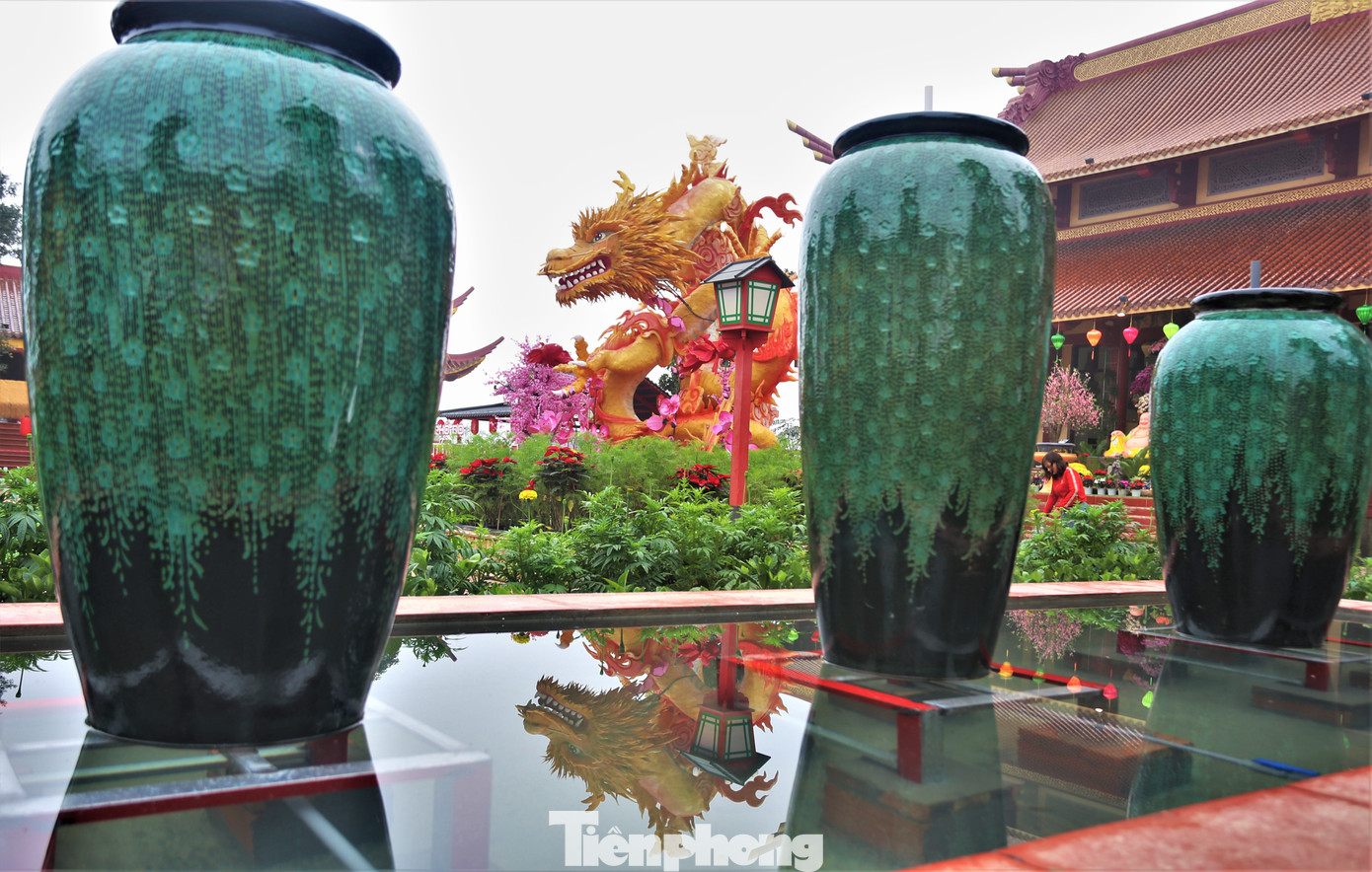 Từ khi hình ảnh về linh vật rồng tại chùa Phổ Độ xuất hiện trên mạng xã hội, đã nhận được nhiều lời khen. Một số người còn đánh giá rằng linh vật này xuất hiện muộn so với các tỉnh thành khác nhưng rất đẹp và có thần thái.