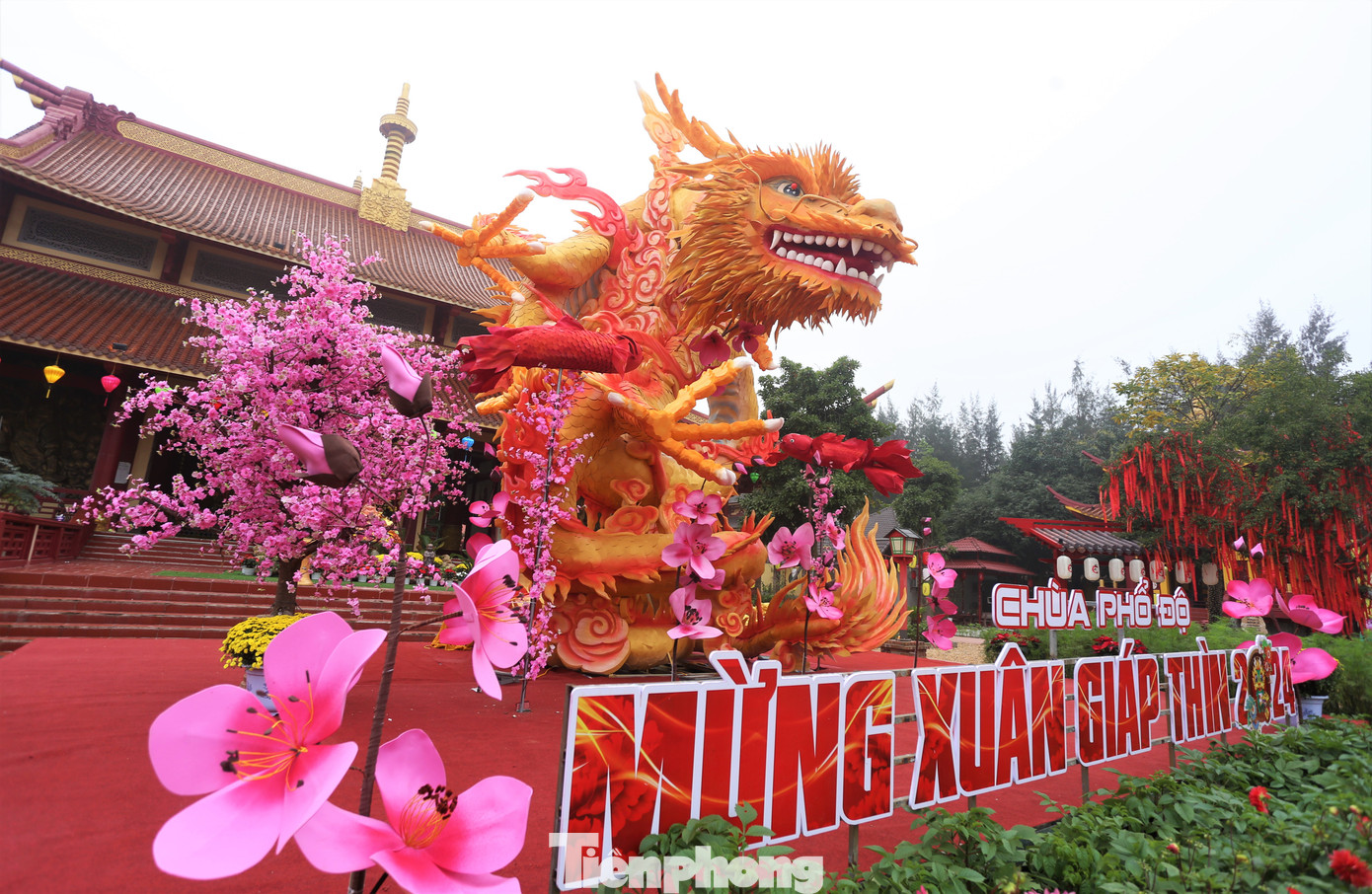 Theo thầy Thích Hạnh Minh - Trụ trì chùa Phổ Độ, Tết Nguyên đán là năm Giáp Thìn 2024 nên nhà chùa lên ý tưởng và thuê thợ làm linh vật rồng đặt ở sân chầu. Trên thực tế, rồng tượng trưng cho sức mạnh, trí tuệ và sự may mắn. Còn trong các văn bản Phật giáo, rồng thường được miêu tả như một vị thần bảo vệ Phật pháp và những lời dạy của Đức Phật.