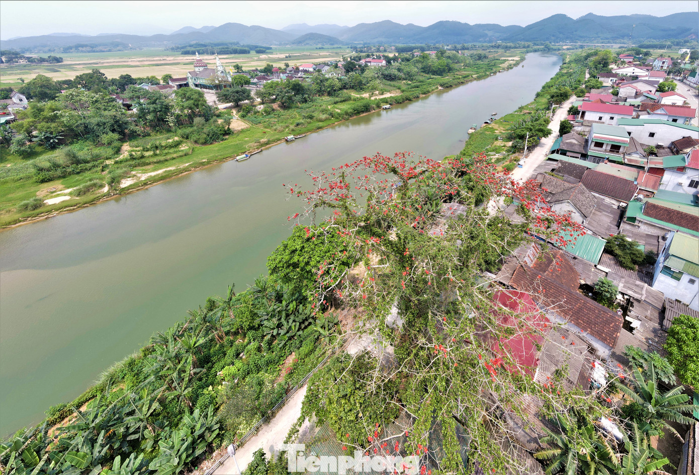 Hoa gạo gắn với khung cảnh làng quê thơ mộng khiến những ai đi xa càng nhớ nhung da diết cảnh sắc quê hương.