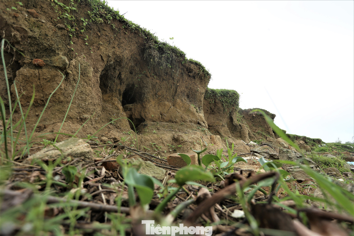 “Xã có hơn 80ha đất sản xuất nông nghiệp cạnh bờ sông nhưng sạt lở đã lấn sâu, kéo theo nhiều diện tích của người dân. Địa phương nhiều lần đề xuất thực hiện dự án kè chống sạt lở dọc bờ sông với chiều dài khoảng 1,5km song chưa có kết quả”, vị lãnh đạo địa phương thông tin.