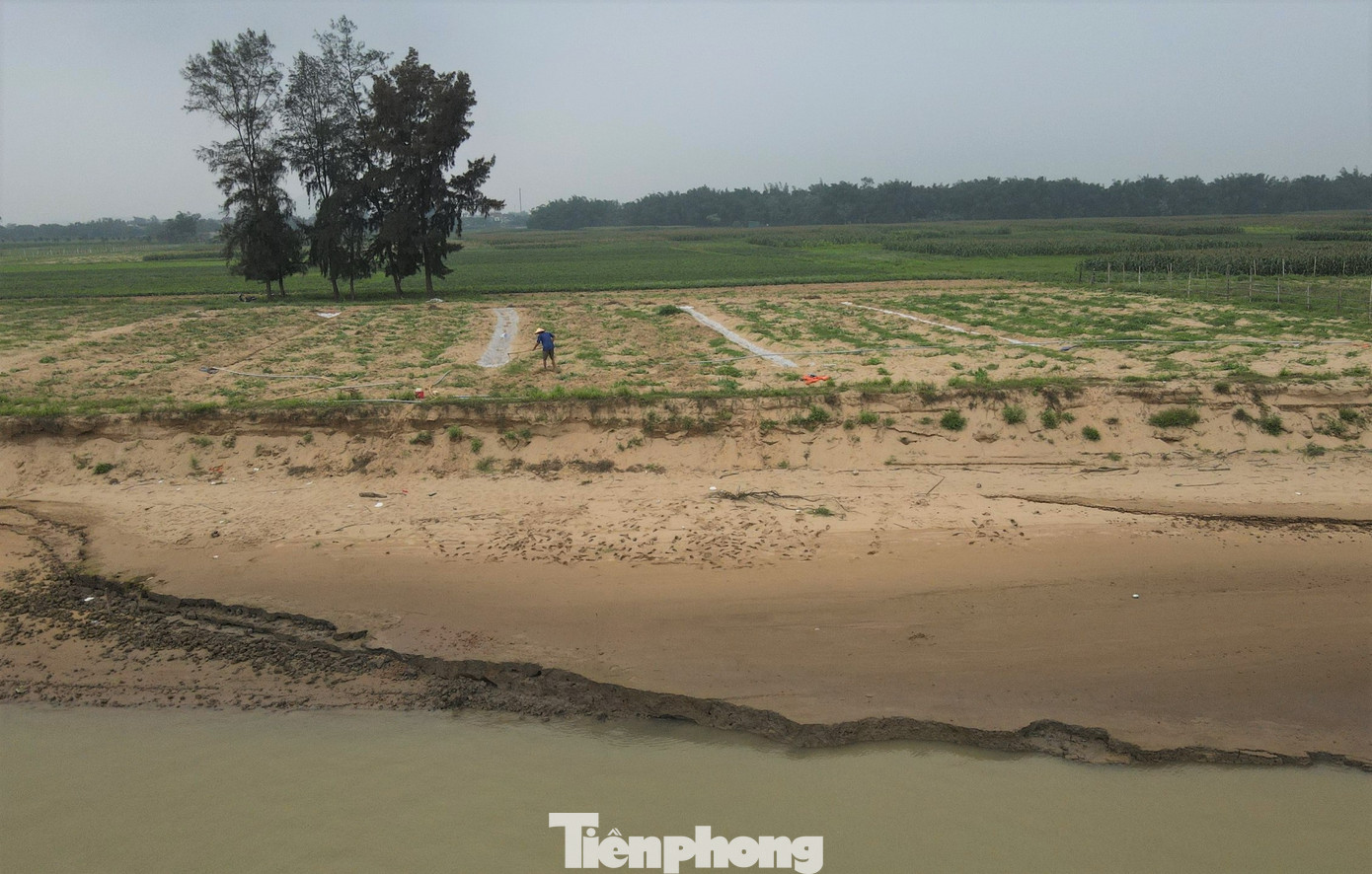 Diện tích bãi bồi dọc bờ sông ở Nghệ An đang dần sạt lở.