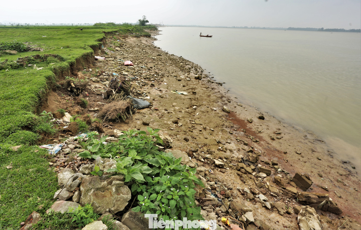 Nhiều năm qua, bờ sông Lam đoạn qua xã Xuân Lam, huyện Nghi Xuân (Hà Tĩnh) liên tục bị sạt lở nặng nề.