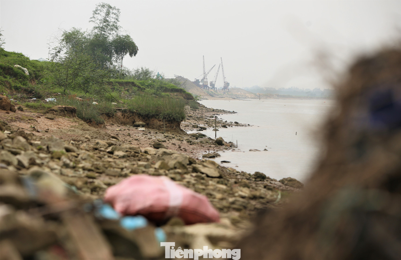 “Mỗi năm nhìn bờ sông cuốn đi từng mét đất mà ai cũng xót, lo lắng đất sản xuất rồi sẽ trôi xuống sông. Sạt lở diễn ra nhanh và liên tục không chỉ do dòng chảy sông Lam mà còn do nhiều thuyền hút cát cỡ lớn cày xới liên tục”, ông Quân (trú xã Xuân Lam) cho hay.