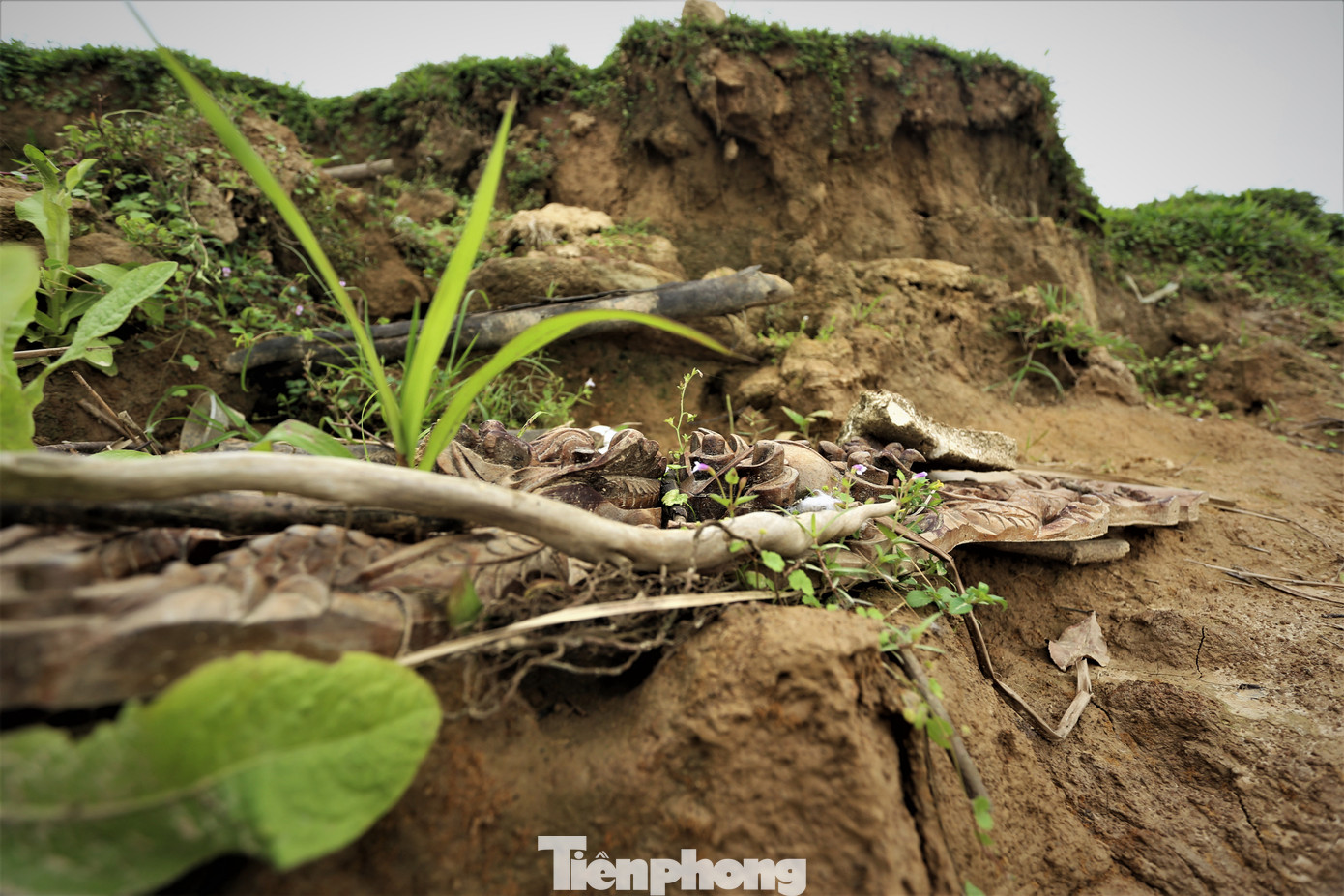 “Mỗi năm nhìn bờ sông cuốn đi từng mét đất mà ai cũng xót, lo lắng đất sản xuất rồi sẽ trôi xuống sông. Sạt lở diễn ra nhanh và liên tục không chỉ do dòng chảy sông Lam mà còn do nhiều thuyền hút cát cỡ lớn cày xới liên tục”, ông Quân (trú xã Xuân Lam) cho hay.