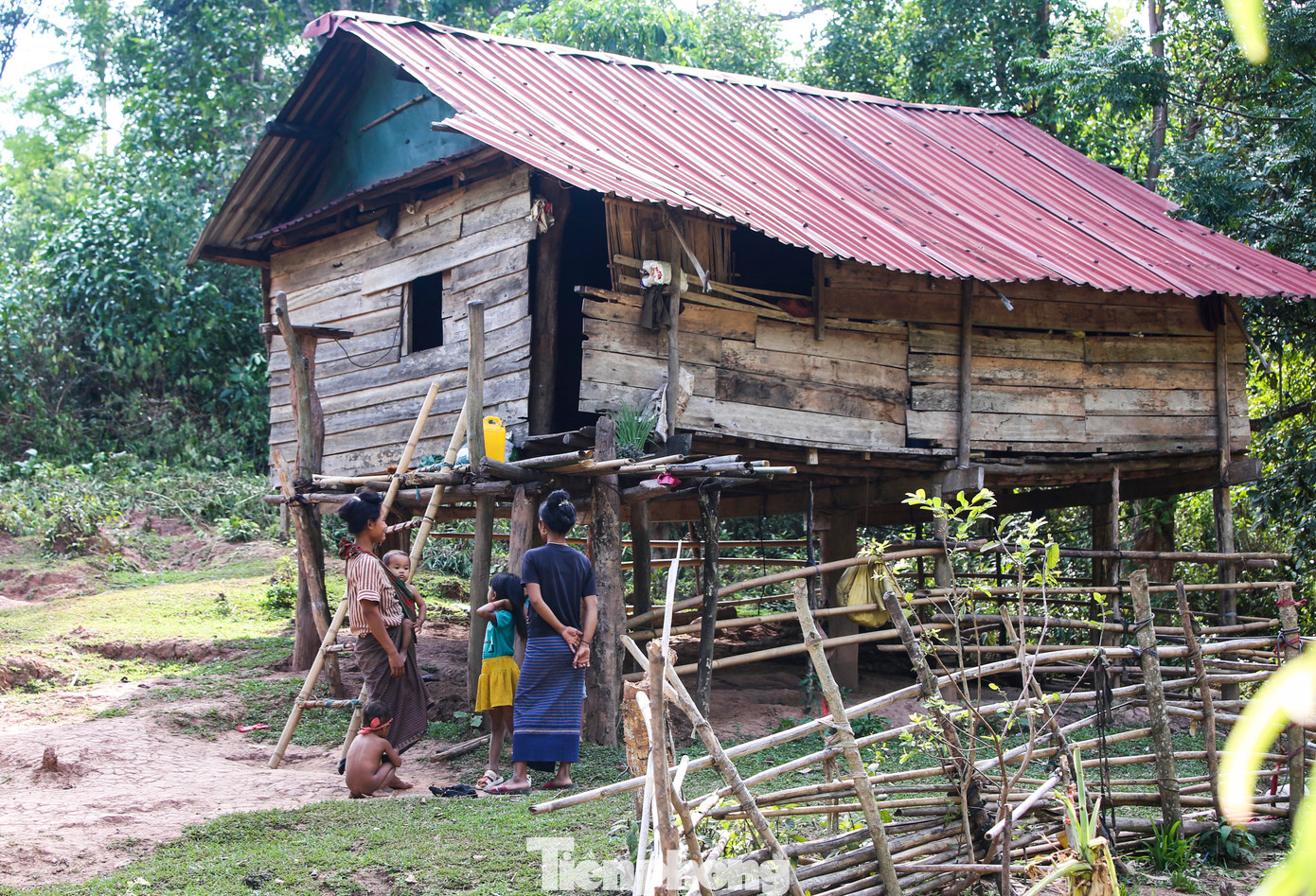 Ông Nguyễn Trường Chinh - Phó Chủ tịch UBND xã Thượng Trạch, cho biết em Y Tư mồ côi, sống với bà ngoại trong căn nhà vách gỗ đã xuống cấp, hư hỏng ven sườn đồi. Ông Nguyễn Trường Chinh - Phó Chủ tịch UBND xã Thượng Trạch, cho biết em Y Tư mồ côi, sống với bà ngoại trong căn nhà vách gỗ đã xuống cấp, hư hỏng ven sườn đồi.