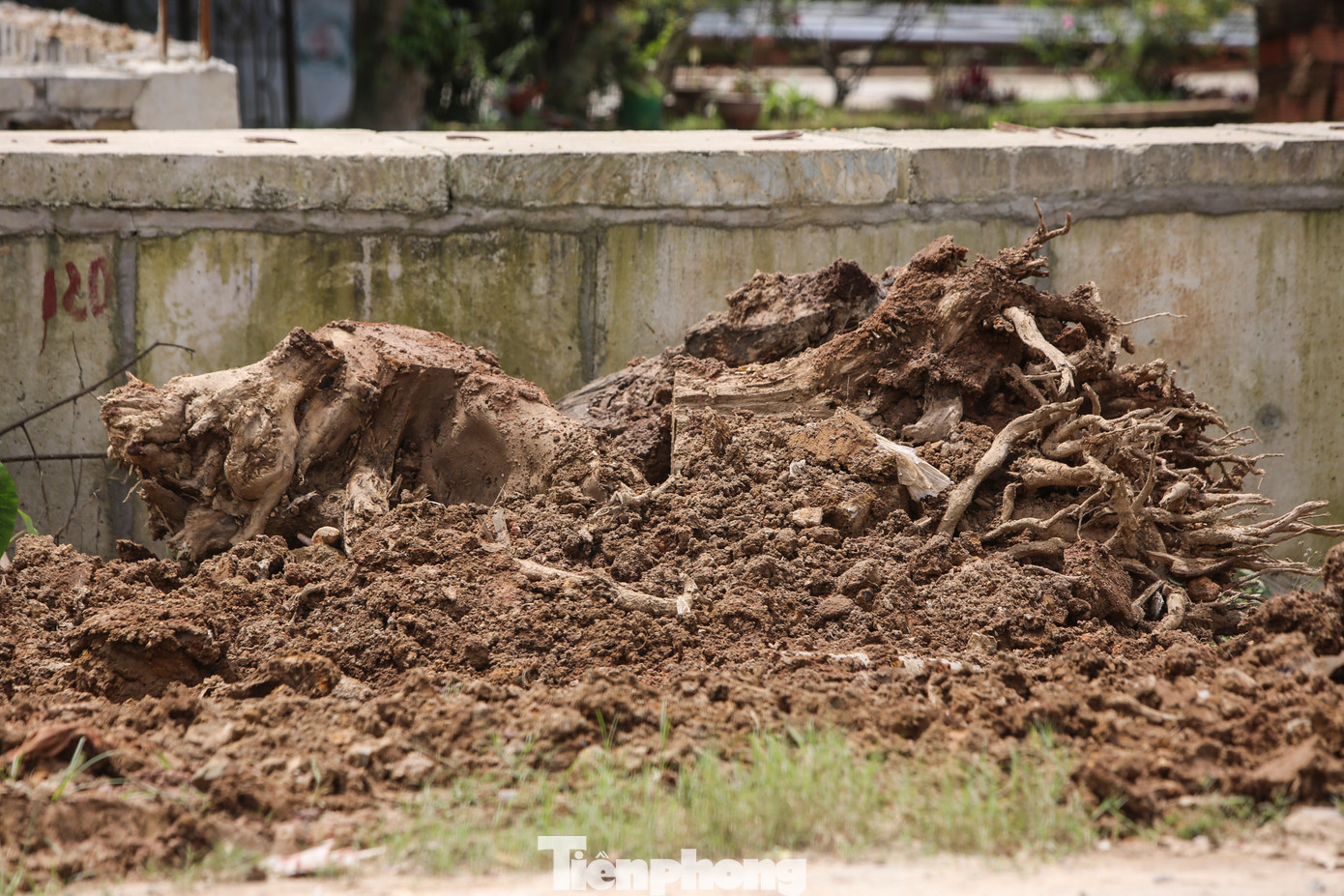 Hệ thống đất phong hóa, mương rãnh thoát nước nằm ngổn ngang. Hệ thống đất phong hóa, mương rãnh thoát nước nằm ngổn ngang.