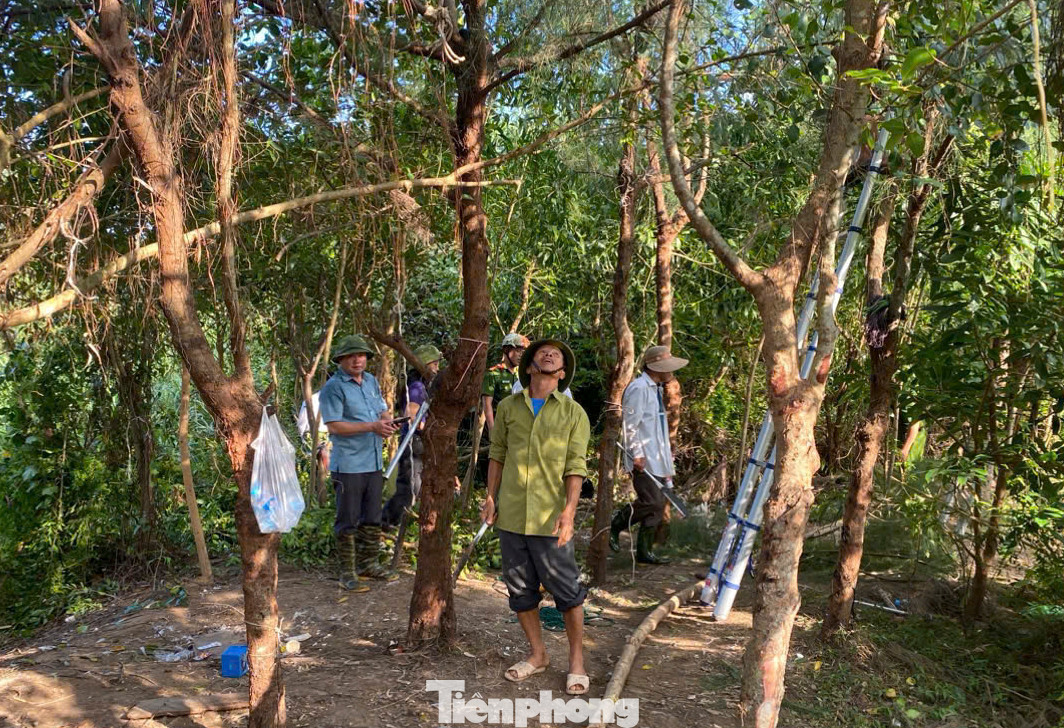 Cuối tháng 9 vừa qua, UBND tỉnh Hà Tĩnh cũng ban hành văn bản về việc tăng cường công tác quản lý, bảo vệ chim hoang dã, chim di cư. Theo đó, UBND tỉnh yêu cầu các địa phương tăng cường tuyên truyền, phổ biến đến người dân và các lực lượng để bảo vệ chim hoang dã; không sử dụng, chế biến các món ăn từ chim hoang dã, di cư.