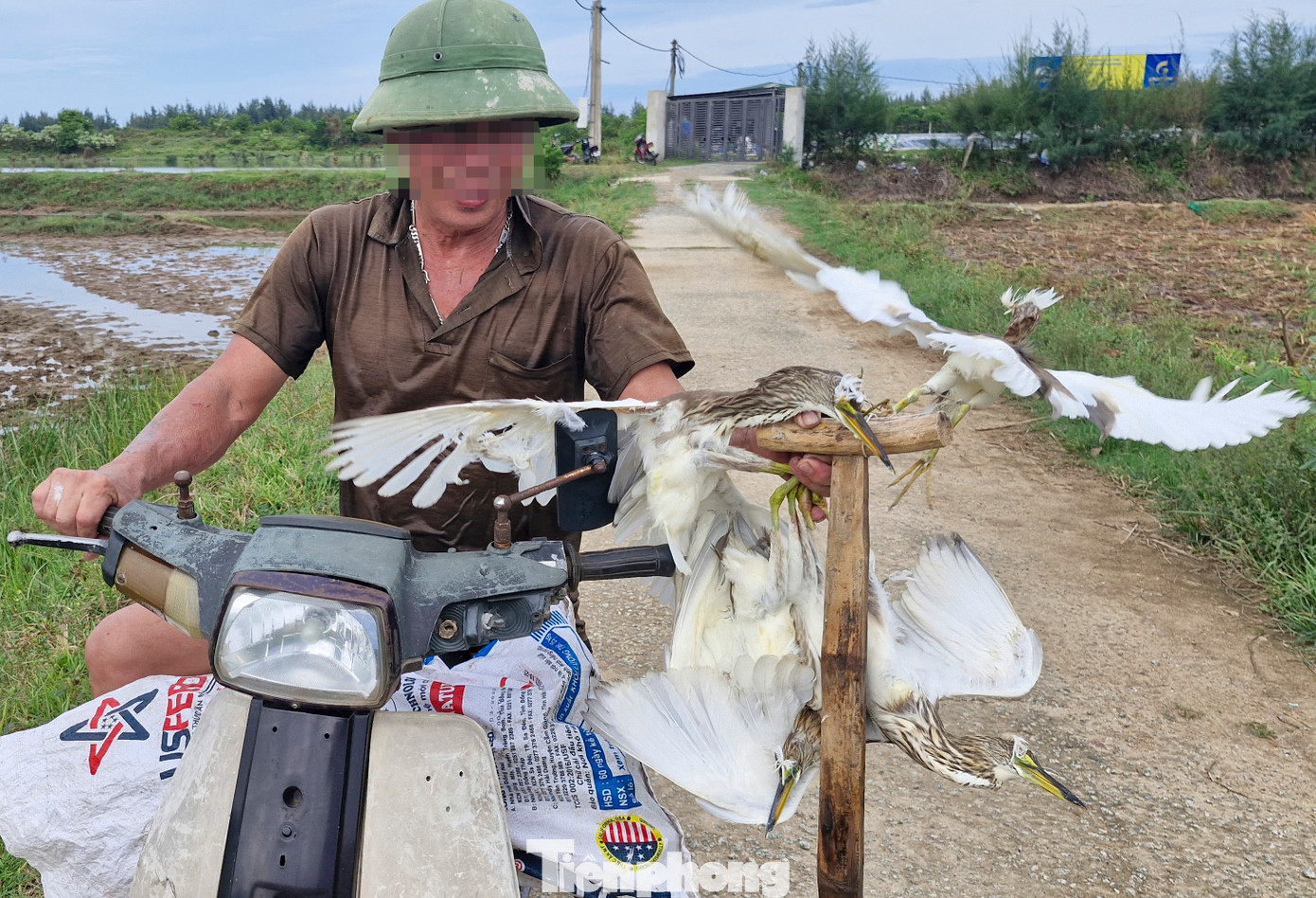 Lực lượng kiểm lâm, công an, chính quyền địa phương sau đó đã thực hiện các đợt tháo dỡ, tiêu hủy trên 46.000 phương tiện, dụng cụ bẫy bắt chim di cư trái phép. Tuy nhiên, tại một số nơi, tình trạng lén lút săn bắt chim trời vẫn diễn ra.