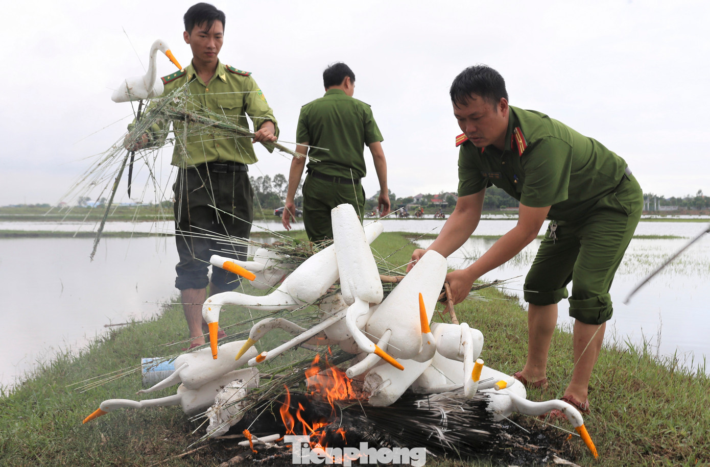 Ông Hoàng Văn Hà - Chủ tịch UBND xã Cương Gián (huyện Nghi Xuân) cho biết, địa phương từng là một trong những khu vực có nạn săn bắt chim trời nhiều, song với việc tuyên truyền và xử lý vi phạm, tháo dỡ bẫy đánh bắt, đến nay tình trạng đã giảm nhiều. Hàng tuần, lực lượng của xã đều ra quân truy quét, tháo dỡ nhằm chấm dứt hẳn tình trạng săn bắt chim trời, bảo vệ chim di cư.