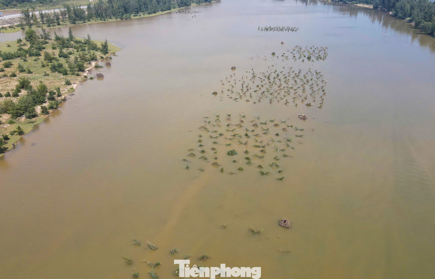 Các điểm bẫy chim thường được “thợ săn” lập tại các lùm cây, giăng đủ loại bẫy nhựa dính, lưới.