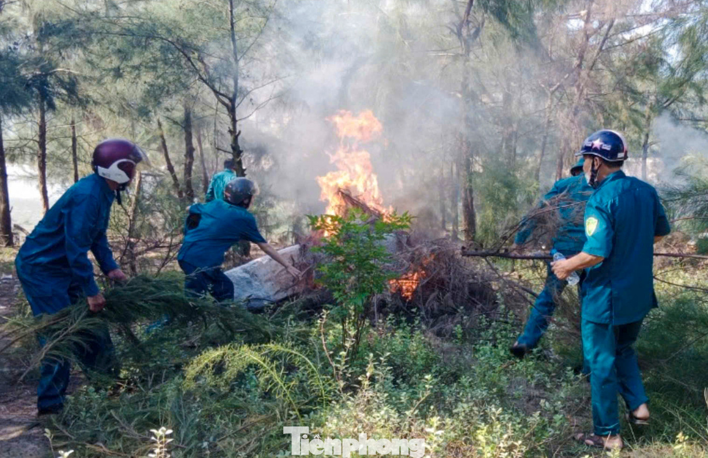 Các địa phương, ngành chức năng liên quan cũng thành lập các đoàn liên ngành kiểm tra, truy quét, gỡ bỏ các dụng cụ, thiết bị bẫy chim; phát hiện, xử lý các khách sạn, nhà hàng, quán ăn có kinh doanh dịch vụ ăn uống, các chợ, điểm mua, bán động vật hoang dã, chim di cư trên địa bàn.