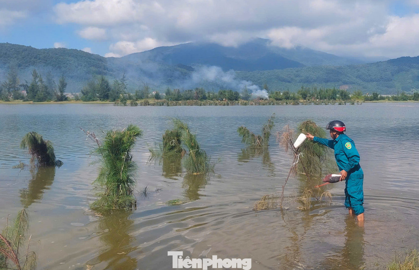 Hình ảnh lực lượng công an, kiểm lâm, dân quân xã Thịnh Lộc (huyện Lộc Hà) và xã Cương Gián (huyện Nghi Xuân) lội ruộng, leo lên các tán cây phi lao dọc bờ biển, tháo dỡ các điểm săn bắt chim trời.