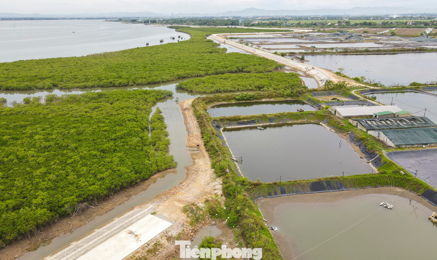 Dự án Xử lý cấp bách đê Tả Nghèn có tổng chiều dài hơn 10km. Công trình được UBND tỉnh Hà Tĩnh phê duyệt báo cáo nghiên cứu khả thi vào tháng 9/2021, do UBND huyện Lộc Hà làm chủ đầu tư với nguồn vốn hơn 180 tỷ đồng. Dự án Xử lý cấp bách đê Tả Nghèn có tổng chiều dài hơn 10km. Công trình được UBND tỉnh Hà Tĩnh phê duyệt báo cáo nghiên cứu khả thi vào tháng 9/2021, do UBND huyện Lộc Hà làm chủ đầu tư với nguồn vốn hơn 180 tỷ đồng.