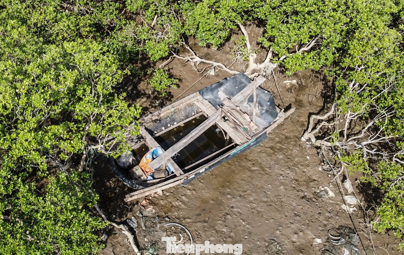 Tàu cá xuống cấp, nằm chỏng chơ trên bờ hoặc ven các luồng lạch, dưới tán rừng ngập mặn sau thời gian không được vươn khơi.