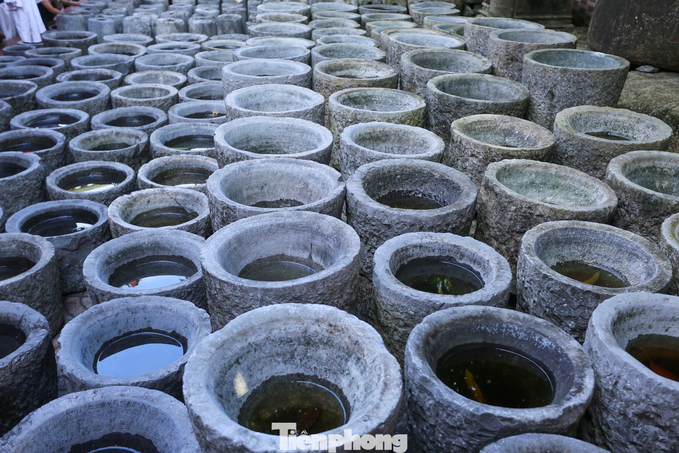 Công trình được xây dựng từ năm 2020, trên diện tích hơn 1.500 m2. Đến nay, Bảo tàng Hoa Cương trưng bày hơn 4.000 hiện vật và hơn 4.000 đầu sách, tài liệu, bút tích, hình ảnh quý hiếm phản ánh khá đa diện về truyền thống người Việt xưa. Ngay từ sảnh bảo tàng là hàng trăm chiếc chum, ché, vại cổ và các loại cối, kệ đá có niên đại hàng trăm năm.