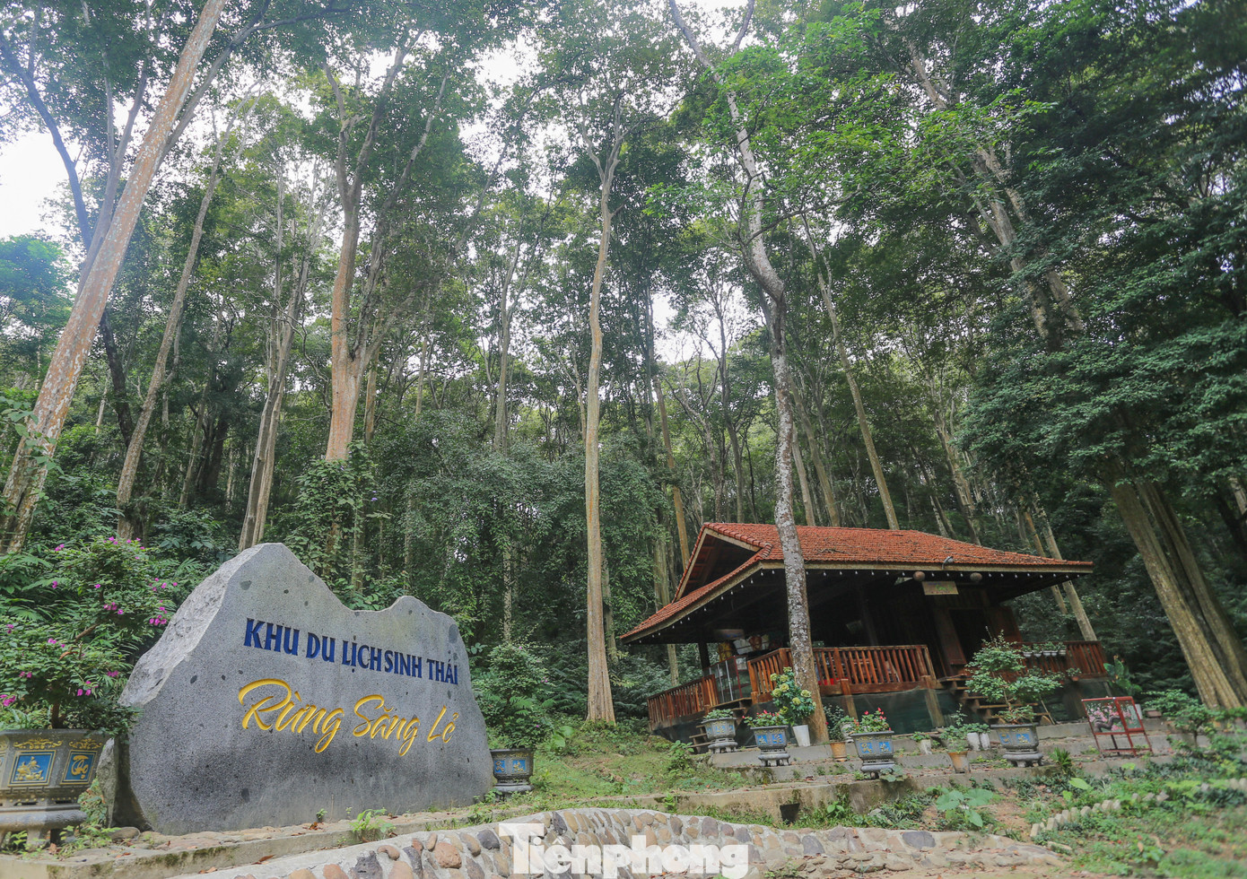 Năm 2014, UBND tỉnh Nghệ An đưa khu rừng săng lẻ Tam Đình vào diện được bảo vệ nghiêm ngặt. Rừng săng lẻ này mang nguyên vẹn một khu hệ sinh thái đặc trưng mưa ẩm nhiệt đới, sót lại với một nguồn gen quý trước nguy cơ cạn kiệt.