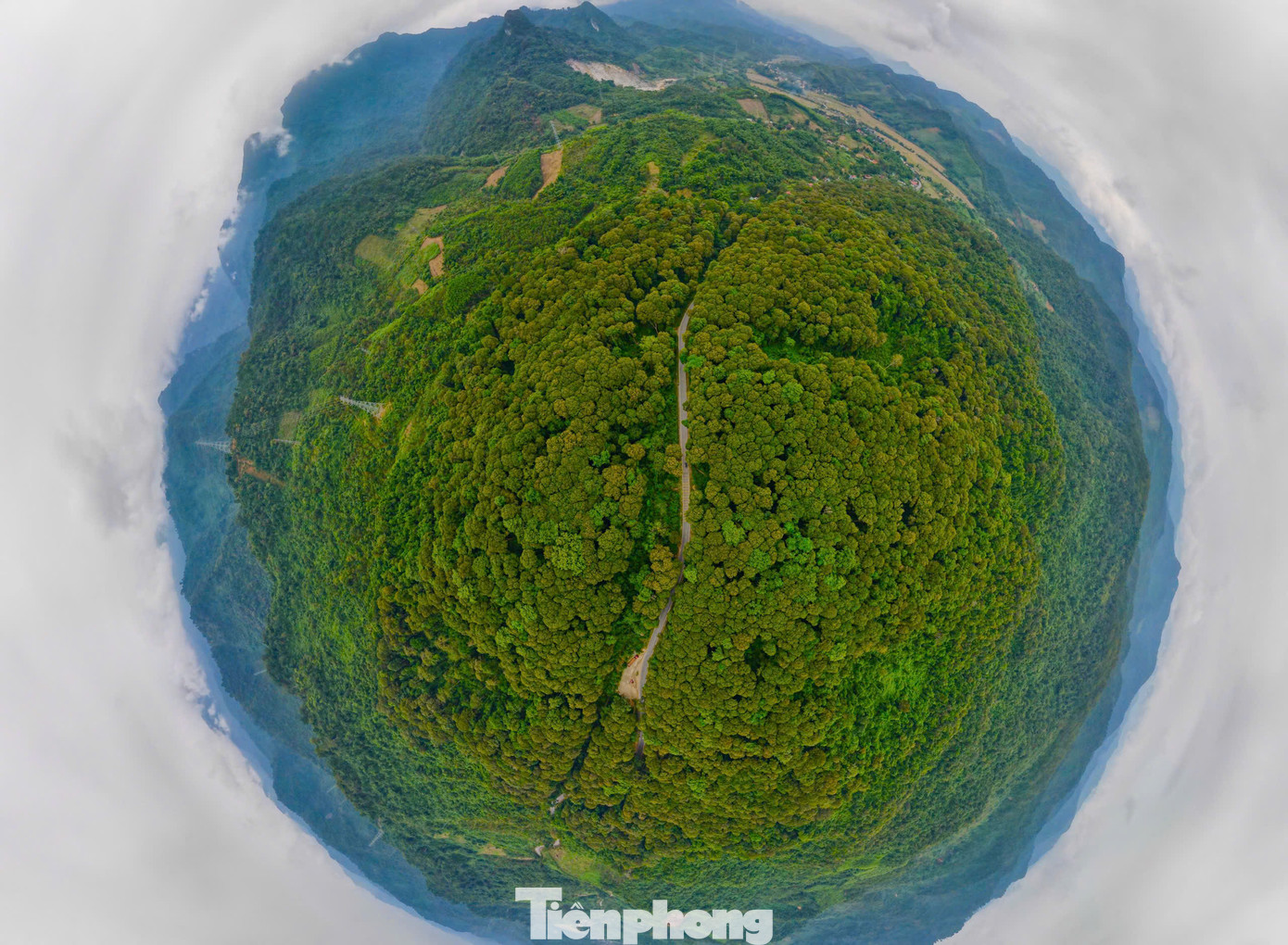 Rừng săng lẻ tại xã Tam Đình, huyện Tương Dương (Nghệ An) rộng khoảng 241 ha, nằm bên quốc lộ 7 (nối Quốc lộ 1A từ huyện Diễn Châu sang nước bạn Lào), cách thành phố Vinh hơn 150 km.