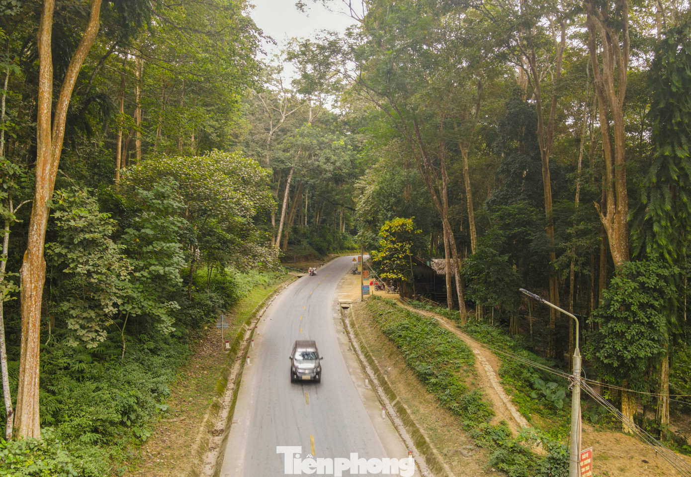 Quốc lộ 7 len lỏi qua những dãy rừng săng lẻ ngút ngàn.