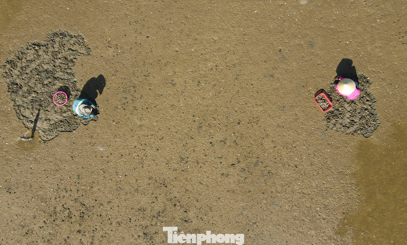 “Việc thu hoạch ngao dựa theo con nước lên xuống nhưng thời tiết nắng nóng sẽ vất vả hơn nhiều”, ông Hân chia sẻ.