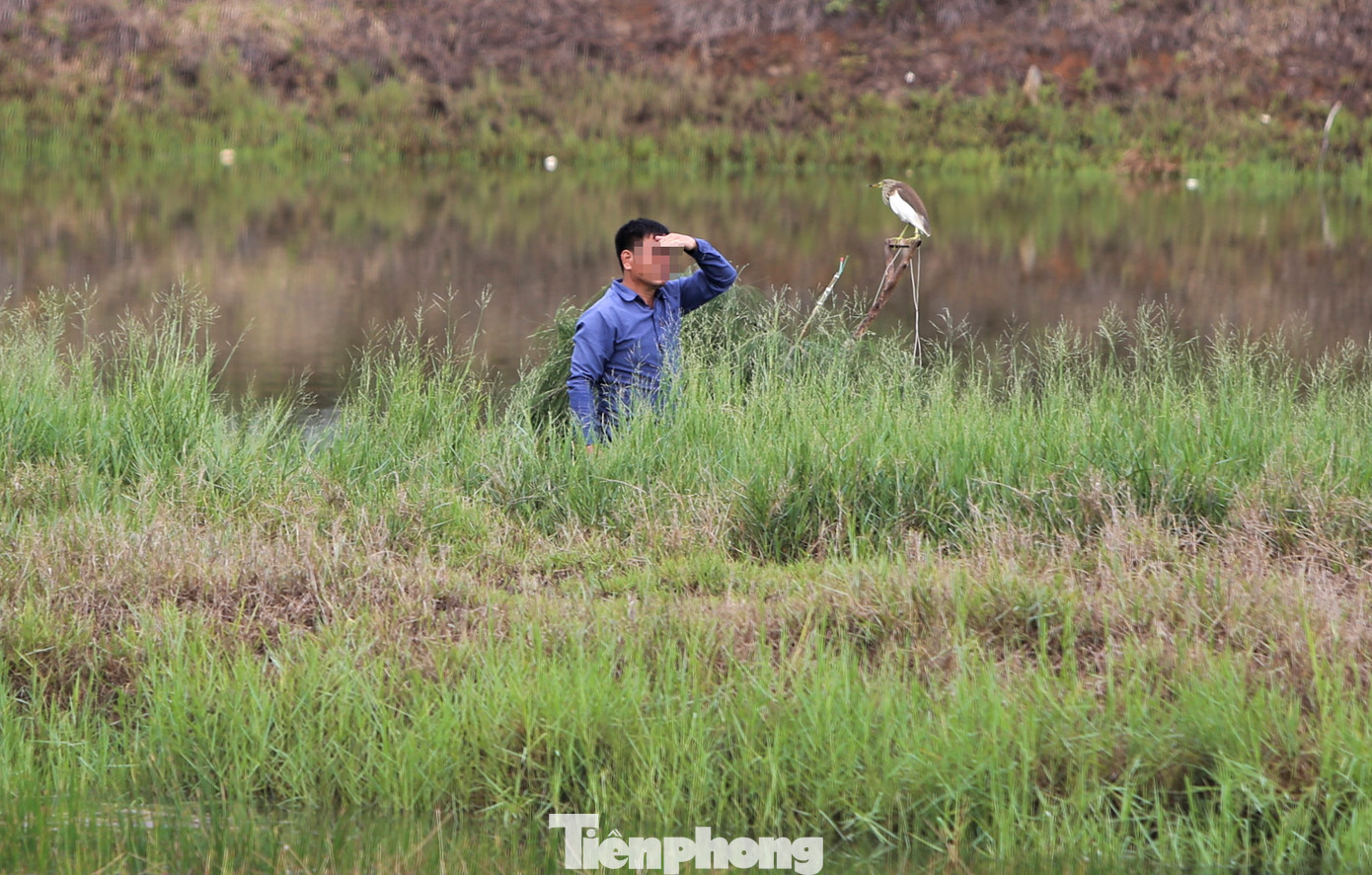 Thời gian bẫy chim thường kéo dài cả ngày. Tuy nhiên thời điểm chim về nhiều, dễ đánh bắt là đầu giờ sáng và cuối giờ chiều.