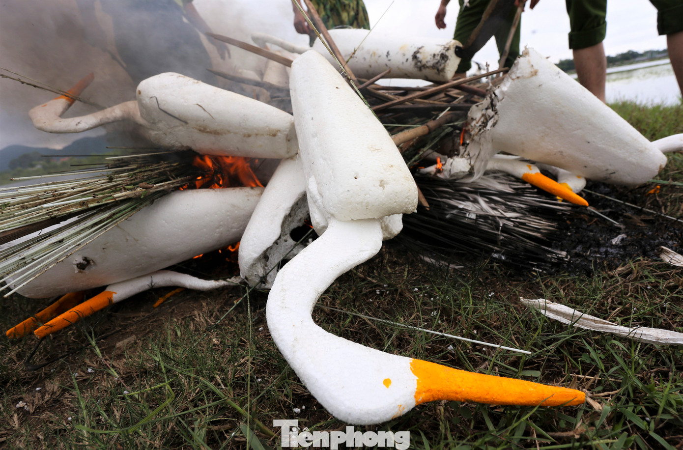 Ông Nguyễn Xuân Mận - Hạt trưởng Hạt kiểm lâm huyện Lộc Hà cho biết, ngành chức năng đã tiêu hủy 75 con chim mồi, 1.300m lưới, 200 que nhạ, phá bỏ 5 dàn đơm chim. “Dù việc truy quét nạn đánh bắt chim trời triển khai liên tục, song ở một số nơi người dân lợi dụng địa hình phức tạp đặt bẫy ở lùm cây cao, bụi rậm nên dễ dàng bỏ chạy khi bị phát hiện”, ông Mận nói.