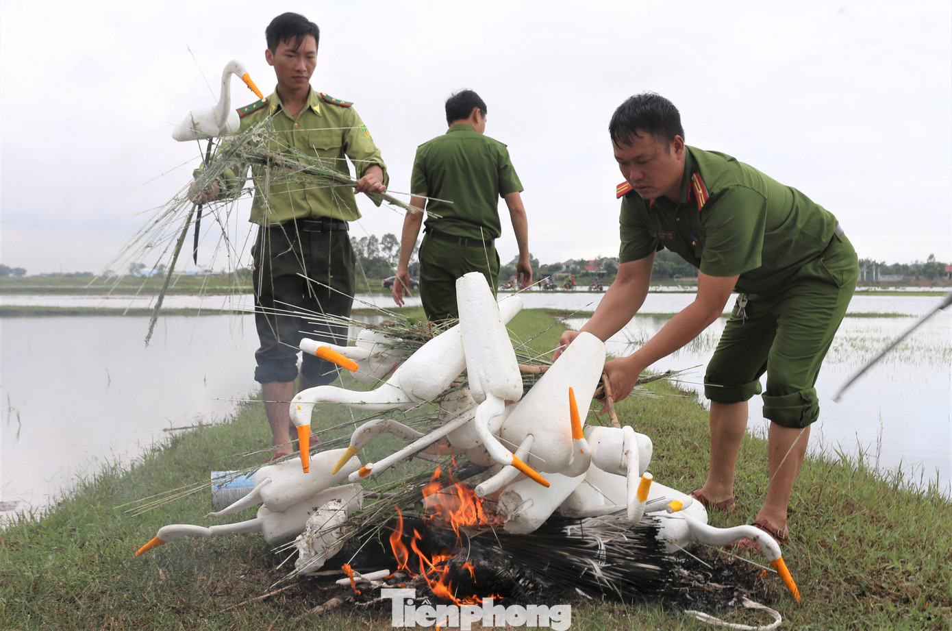 Ngành chức năng tháo dỡ bẫy săn chim trời.