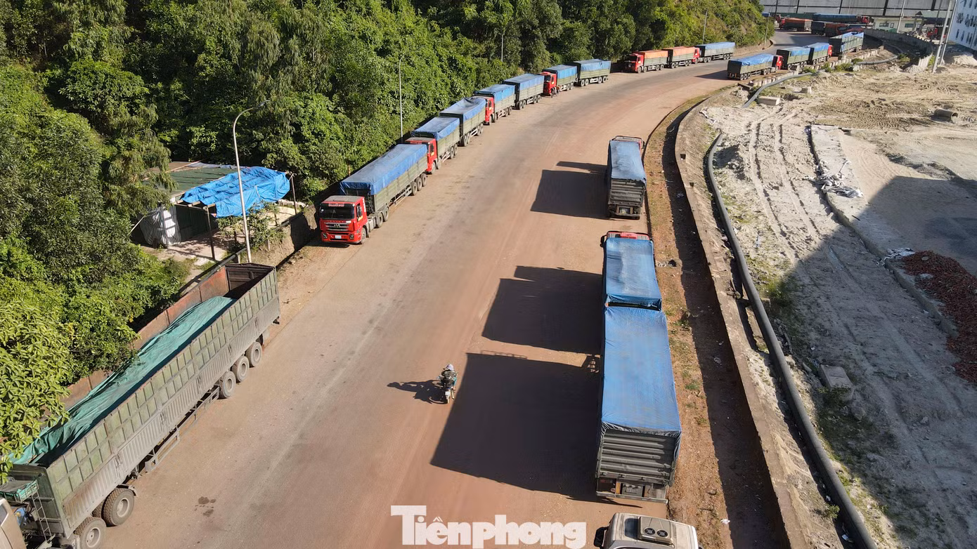 Xe nối dài chờ nhập hàng, phía cảng chưa có tàu cập bến. Xe nối dài chờ nhập hàng, phía cảng chưa có tàu cập bến.