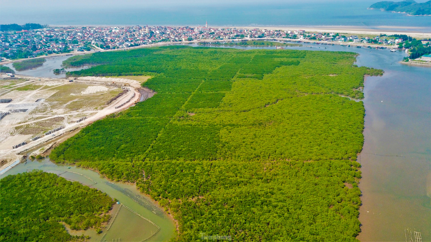 Khu vực rừng ngập mặn phát triển tốt ở khu vực Cửa Sót (huyện Lộc Hà). Khu vực rừng ngập mặn phát triển tốt ở khu vực Cửa Sót (huyện Lộc Hà).