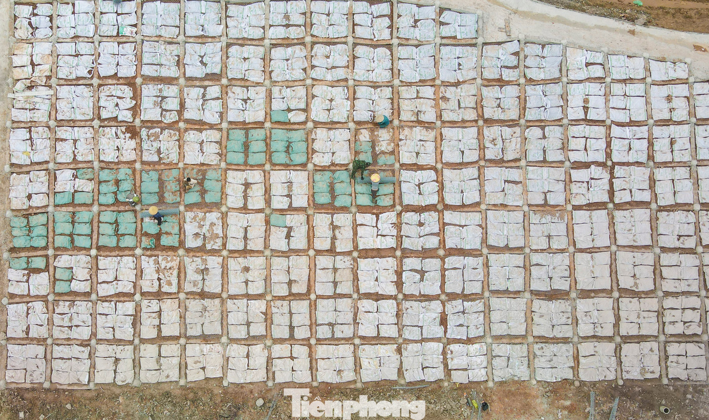 Ngọn đồi cao hàng chục mét qua xã Cẩm Thịnh (huyện Cẩm Xuyên) đã được đơn vị thực hiện dự án hạ độ cao, hoàn thiện mặt đường và đang cho công nhân gia cố ta luy. Ngọn đồi cao hàng chục mét qua xã Cẩm Thịnh (huyện Cẩm Xuyên) đã được đơn vị thực hiện dự án hạ độ cao, hoàn thiện mặt đường và đang cho công nhân gia cố ta luy.