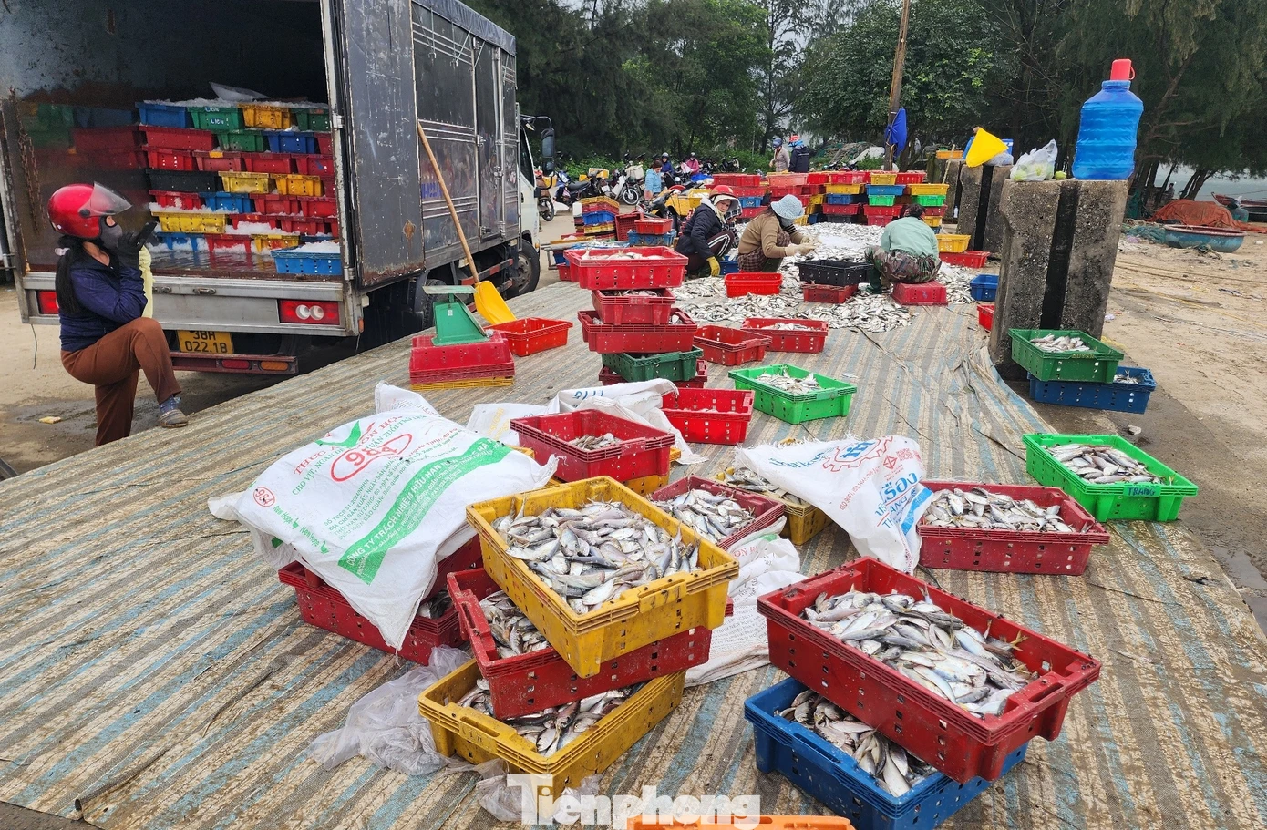 Thương lái có mặt từ sớm để thu mua hải sản từ ngư dân.