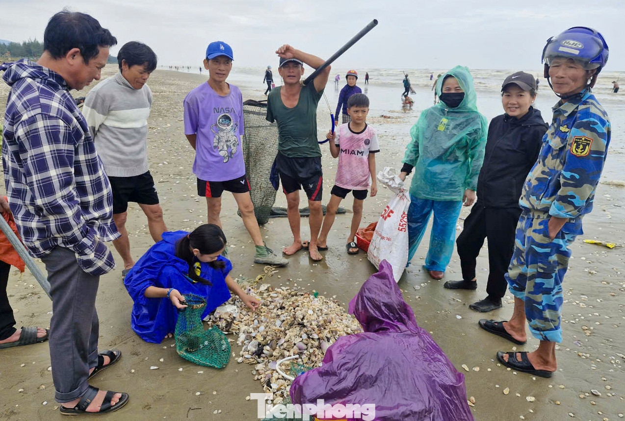 Theo nhiều người dân địa phương, hai ngày qua khi các đợt sóng lớn đánh dạt sò vào bờ, nhiều người đã nhặt hàng chục đến hàng trăm kg. Nhiều thương lái cũng có mặt ngay tại bờ biển để thu mua. Theo nhiều người dân địa phương, hai ngày qua khi các đợt sóng lớn đánh dạt sò vào bờ, nhiều người đã nhặt hàng chục đến hàng trăm kg. Nhiều thương lái cũng có mặt ngay tại bờ biển để thu mua.