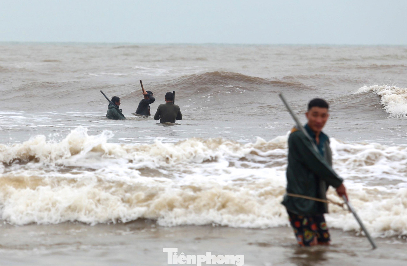 Những người đàn ông sẽ dùng vợt, rổ nhựa, bao tải rồi vượt sóng, lội bộ cách bờ khoảng 50 m để vớt sò. Cứ 10-15 phút, khi các vợt lưới đã đầy sò sống trộn lẫn với vỏ và rác thì người dân nhanh chóng kéo vào bờ, đổ thành đống. Lúc này, trên bờ, người thân đứng chờ sẵn xúm lại để phân loại lấy những con sò sống cho vào bao tải. Những người đàn ông sẽ dùng vợt, rổ nhựa, bao tải rồi vượt sóng, lội bộ cách bờ khoảng 50 m để vớt sò. Cứ 10-15 phút, khi các vợt lưới đã đầy sò sống trộn lẫn với vỏ và rác thì người dân nhanh chóng kéo vào bờ, đổ thành đống. Lúc này, trên bờ, người thân đứng chờ sẵn xúm lại để phân loại lấy những con sò sống cho vào bao tải.