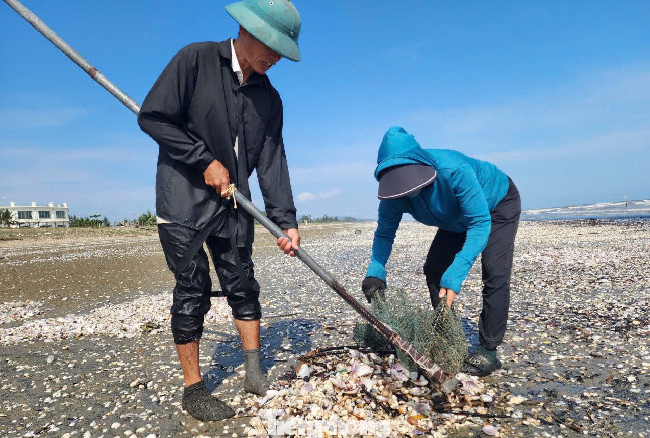 Những người đàn ông sẽ dùng vợt, rổ nhựa, bao tải rồi vượt sóng, lội bộ cách bờ khoảng 50 m để vớt sò. Cứ 10-15 phút, khi các vợt lưới đã đầy sò sống trộn lẫn với vỏ và rác thì người dân nhanh chóng kéo vào bờ, đổ thành đống. Lúc này, trên bờ, người thân đứng chờ sẵn xúm lại để phân loại lấy những con sò sống cho vào bao tải. Những người đàn ông sẽ dùng vợt, rổ nhựa, bao tải rồi vượt sóng, lội bộ cách bờ khoảng 50 m để vớt sò. Cứ 10-15 phút, khi các vợt lưới đã đầy sò sống trộn lẫn với vỏ và rác thì người dân nhanh chóng kéo vào bờ, đổ thành đống. Lúc này, trên bờ, người thân đứng chờ sẵn xúm lại để phân loại lấy những con sò sống cho vào bao tải.