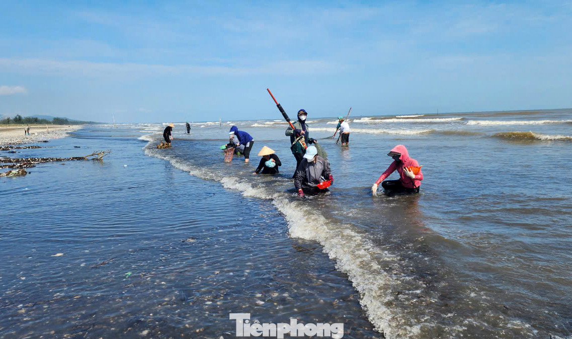 Nhiều phụ nữ, trẻ em sẽ đi dọc bờ để nhặt các loài sò, ngao. Nhiều phụ nữ, trẻ em sẽ đi dọc bờ để nhặt các loài sò, ngao.