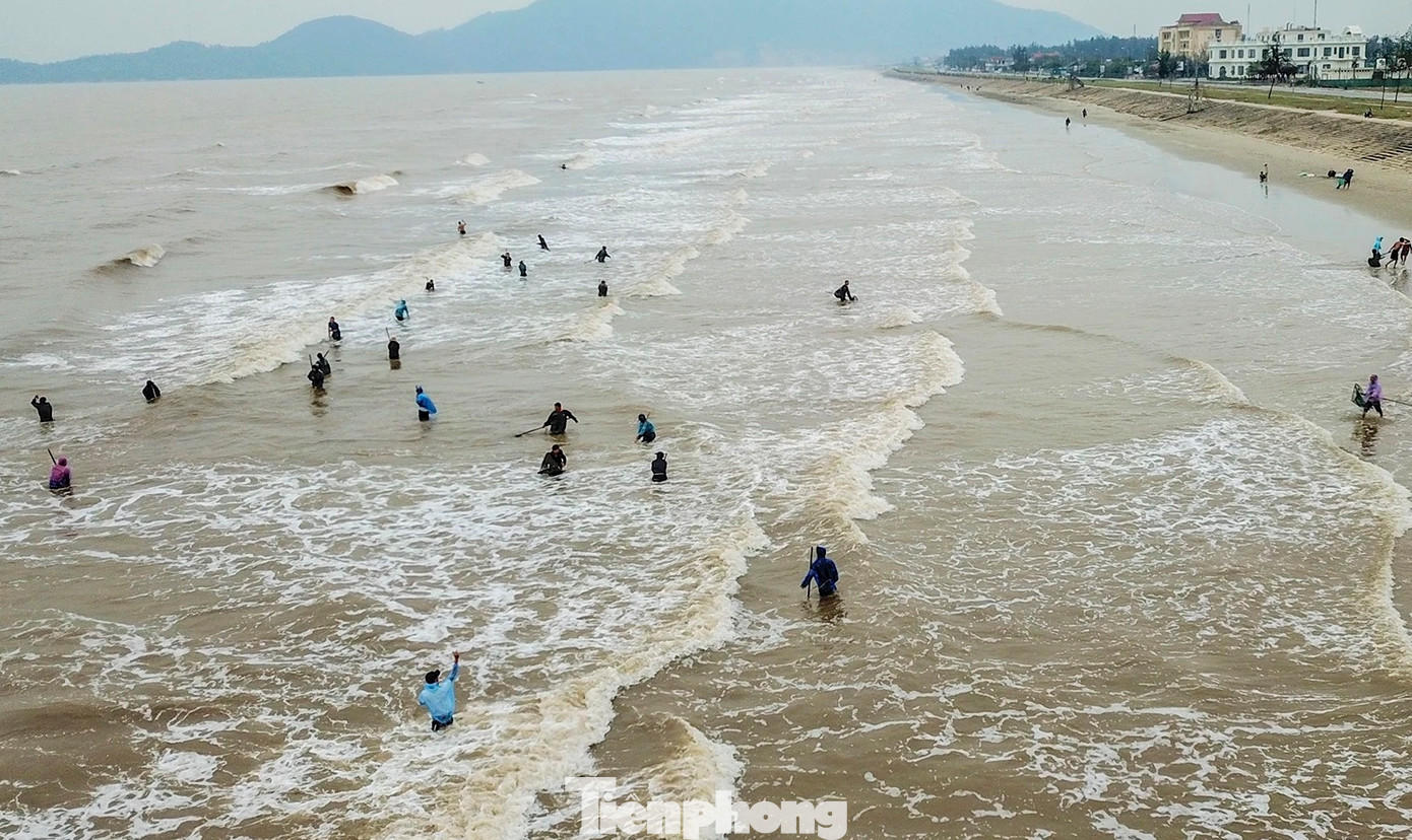 Hai ngày qua, hàng trăm người dân đổ xô ra bờ biển dài hơn 2 km từ xã Thịnh Lộc đến thị trấn Lộc Hà (huyện Lộc Hà, Hà Tĩnh) để vớt “lộc biển” gồm: sò lông, mai, ngao... Hai ngày qua, hàng trăm người dân đổ xô ra bờ biển dài hơn 2 km từ xã Thịnh Lộc đến thị trấn Lộc Hà (huyện Lộc Hà, Hà Tĩnh) để vớt “lộc biển” gồm: sò lông, mai, ngao...
