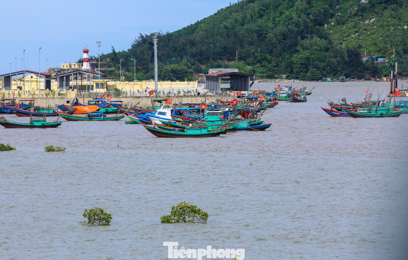 Chính quyền địa phương cho biết việc cảng được đầu tư xây dựng hiện đại, đồng bộ đóng vai trò rất lớn cho ngư dân yên tâm bám biển và sự phát triển địa phương. Tuy nhiên, quá trình đưa vào hoạt động nếu luồng lạch không được nạo vét sẽ gây ảnh hưởng lớn đến việc đi lại của tàu thuyền.