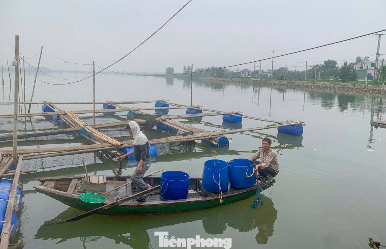 Ba ngày qua, người nuôi cá chim trắng ở khu vực gần chân cầu Hộ Độ (giáp ranh xã Hộ Độ (huyện Lộc Hà) và xã Thạch Hạ (thành phố Hà Tĩnh) thường trực nỗi lo thất thu khi cá nuôi chết hàng loạt.