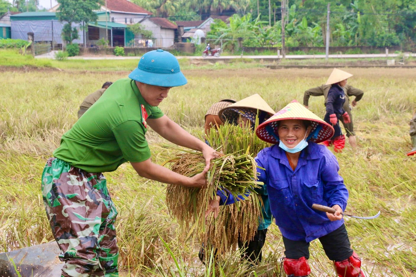 Không chỉ giúp bà con gặt lúa, lực lượng Công an còn hỗ trợ vận chuyển lúa về nhà dân, kê bạt phơi lúa, giúp dân ổn định đời sống sau thiên tai. Cùng với lực lượng Công an chính quy, trên những cánh đồng ở Hà Tĩnh lực lượng Công an viên và tổ bảo vệ dân phố, dân quân tự vệ cũng được huy động tối đa. Nhiều người vừa trực đảm bảo an ninh trật tự, vừa tranh thủ thời gian xuống đồng hỗ trợ bà con thu hoạch. Trong ảnh là cán bộ, chiến sĩ Công an xã Thạch Ngọc (huyện Thạch Hà) hỗ trợ người dân gặt, vận chuyển lúa về nhà.