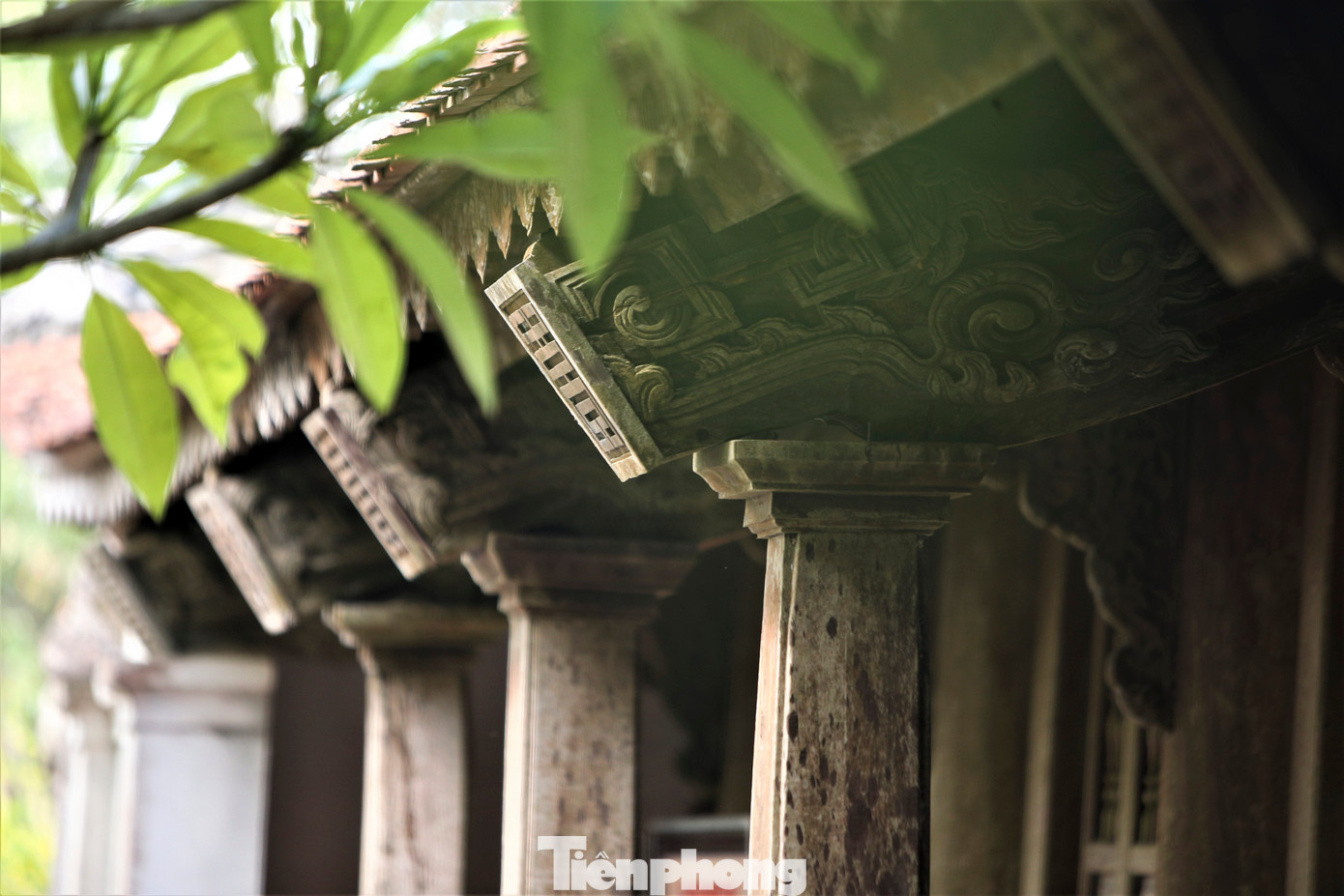 Hoa văn chạm khắc rồng phượng tinh xảo trên các cột, kèo, vì gỗ lim tại đình.