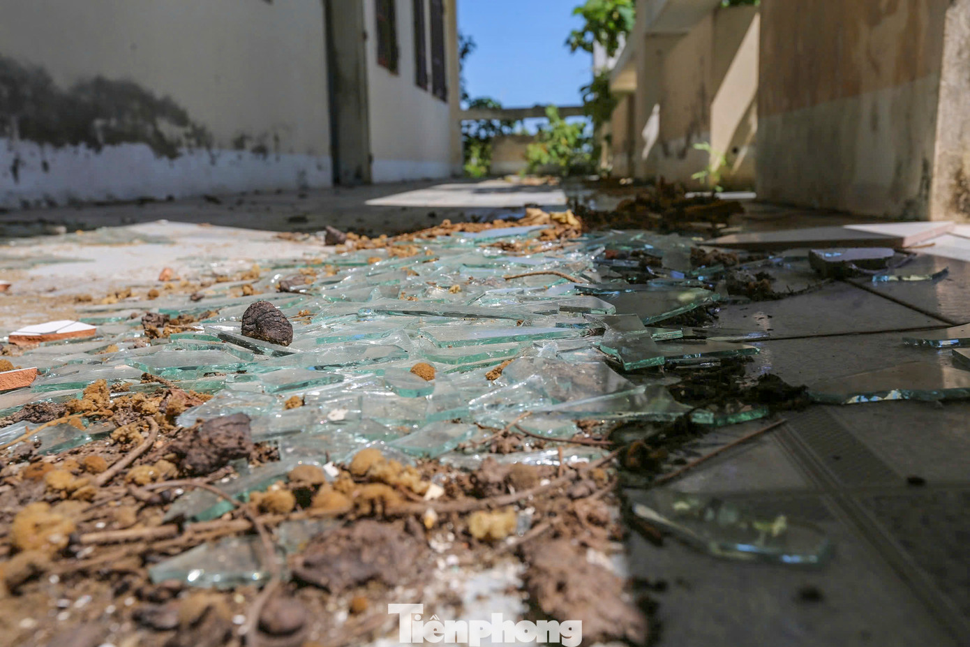 Khắp nền nhà đâu đâu cũng là mảnh kính vỡ.