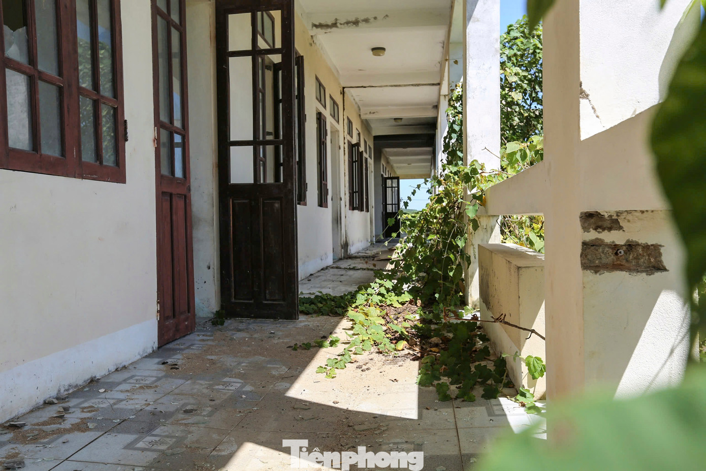 Các dãy phòng học trống trơn, nhếch nhác, ẩm dột theo thời gian, cỏ cây mọc um tùm.