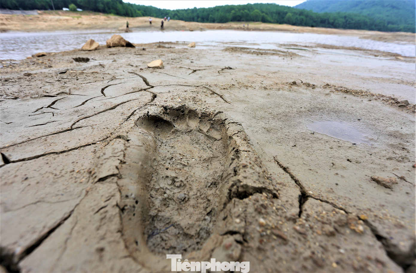 Hồ cạn trơ đáy, in hằn những vết chân trên bùn.