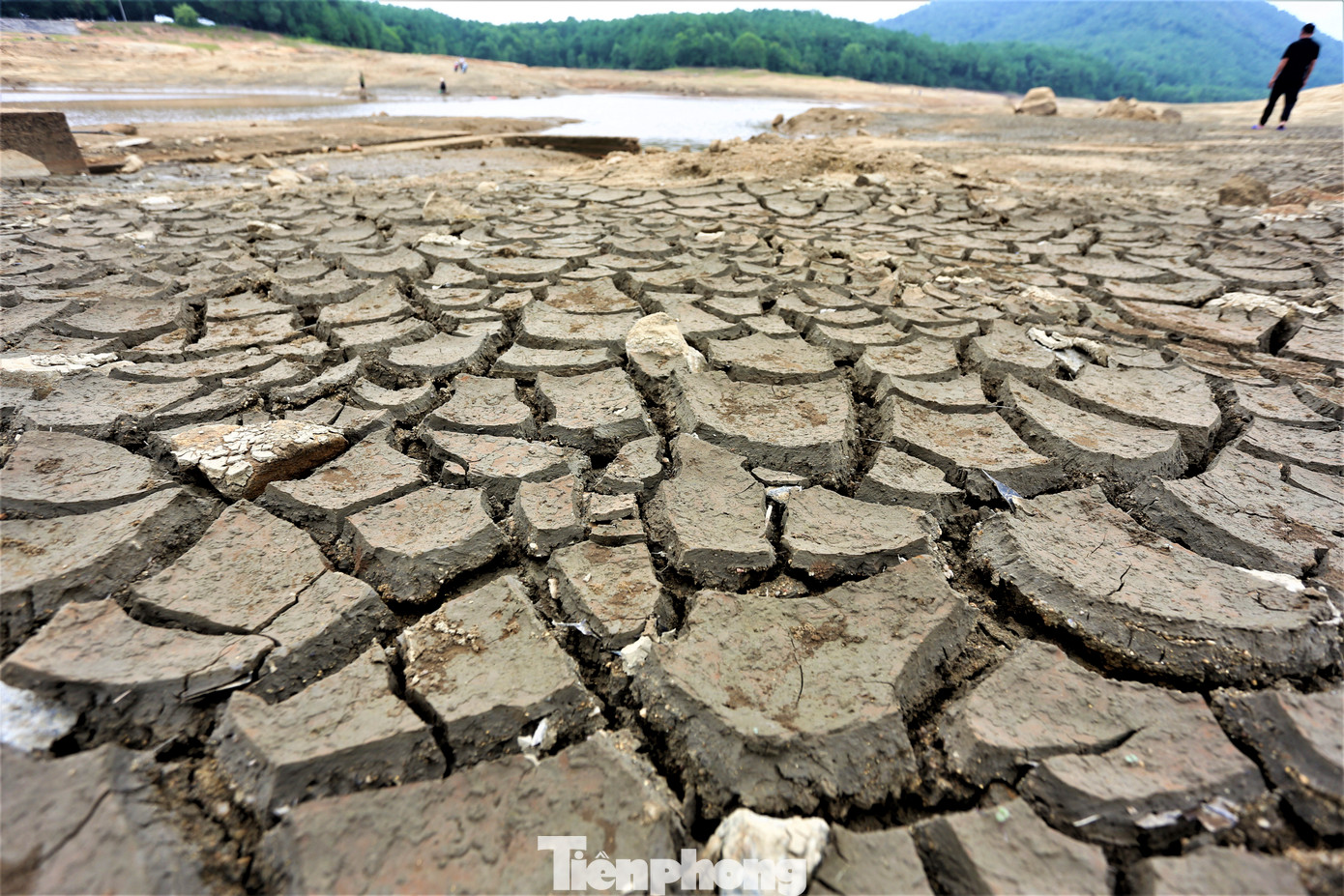 “Công suất nhà máy đạt 8.000m3/ngày đêm, cấp cho hàng chục hộ dân trên địa bàn. Tuy nhiên, mực nước hiện chỉ cấp chưa được một nửa. Đơn vị đang phải lấy nước từ hồ điều hòa và hồ Đá Bạc trên địa bàn để đảm bảo cấp nước cho người dân”, vị lãnh đạo đơn vị cấp nước thông tin. Trong ảnh, bùn đất nứt nẻ khi lòng hồ trơ đáy.