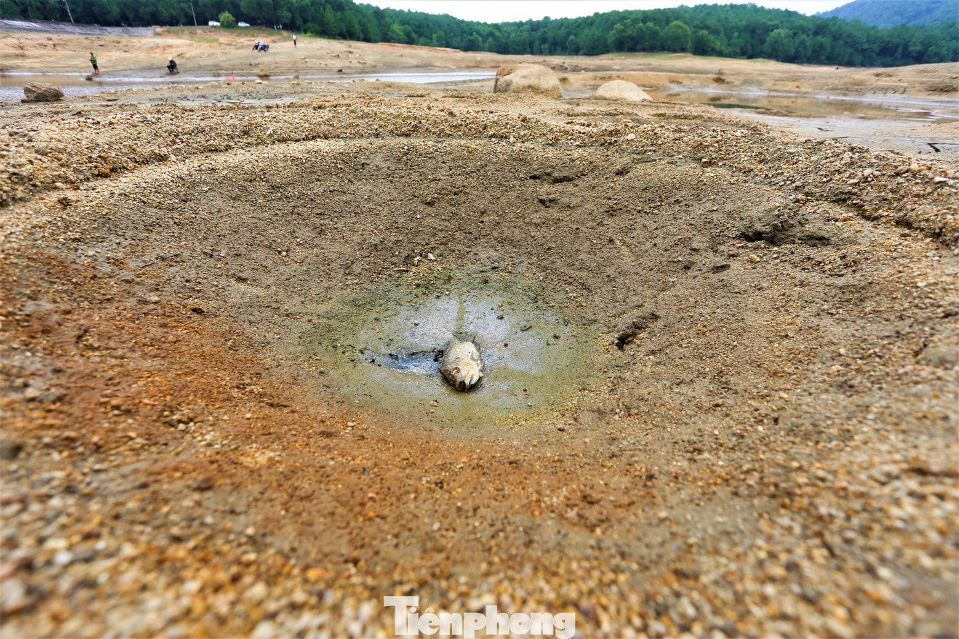 Lãnh đạo Chi nhánh Cấp nước Hồng Lĩnh (Công ty Cổ phần Cấp nước Hà Tĩnh) cho biết, mực nước hồ Thiên Tượng còn 19.000m3/850.000m3. Nước xuống thấp khiến đơn vị gặp khó khăn trong việc lấy nước thô, vận hành cấp nước cho người dân.
