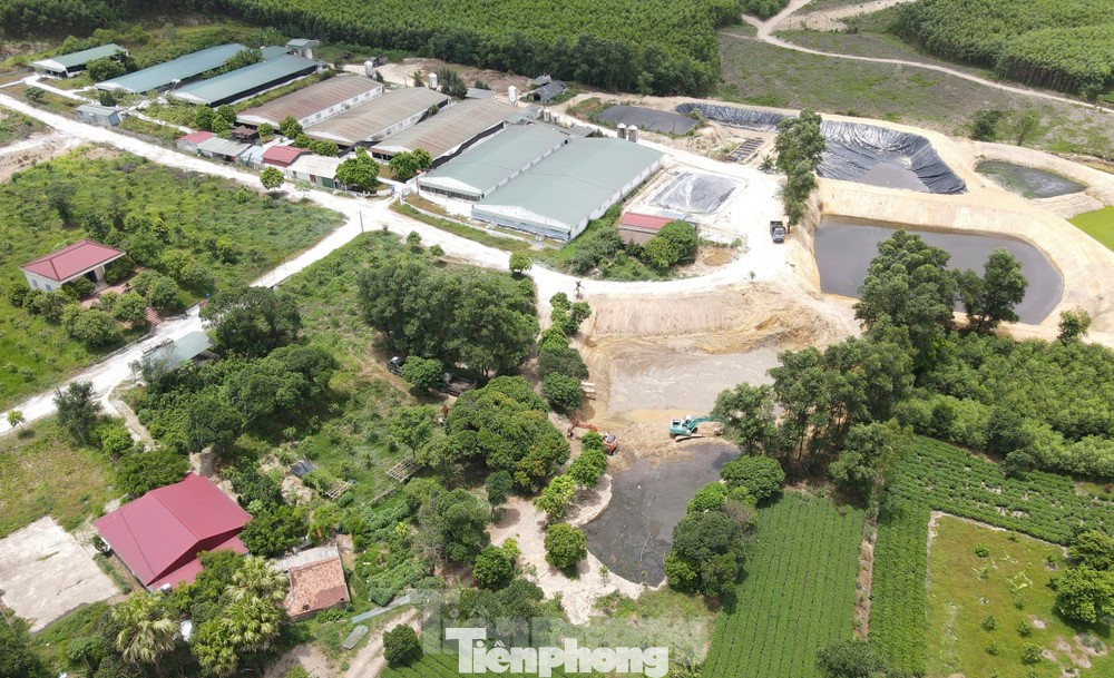 Hình ảnh trại lợn gây ô nhiễm của Hợp tác xã Hoàng Phát ở xã Kỳ Tây.