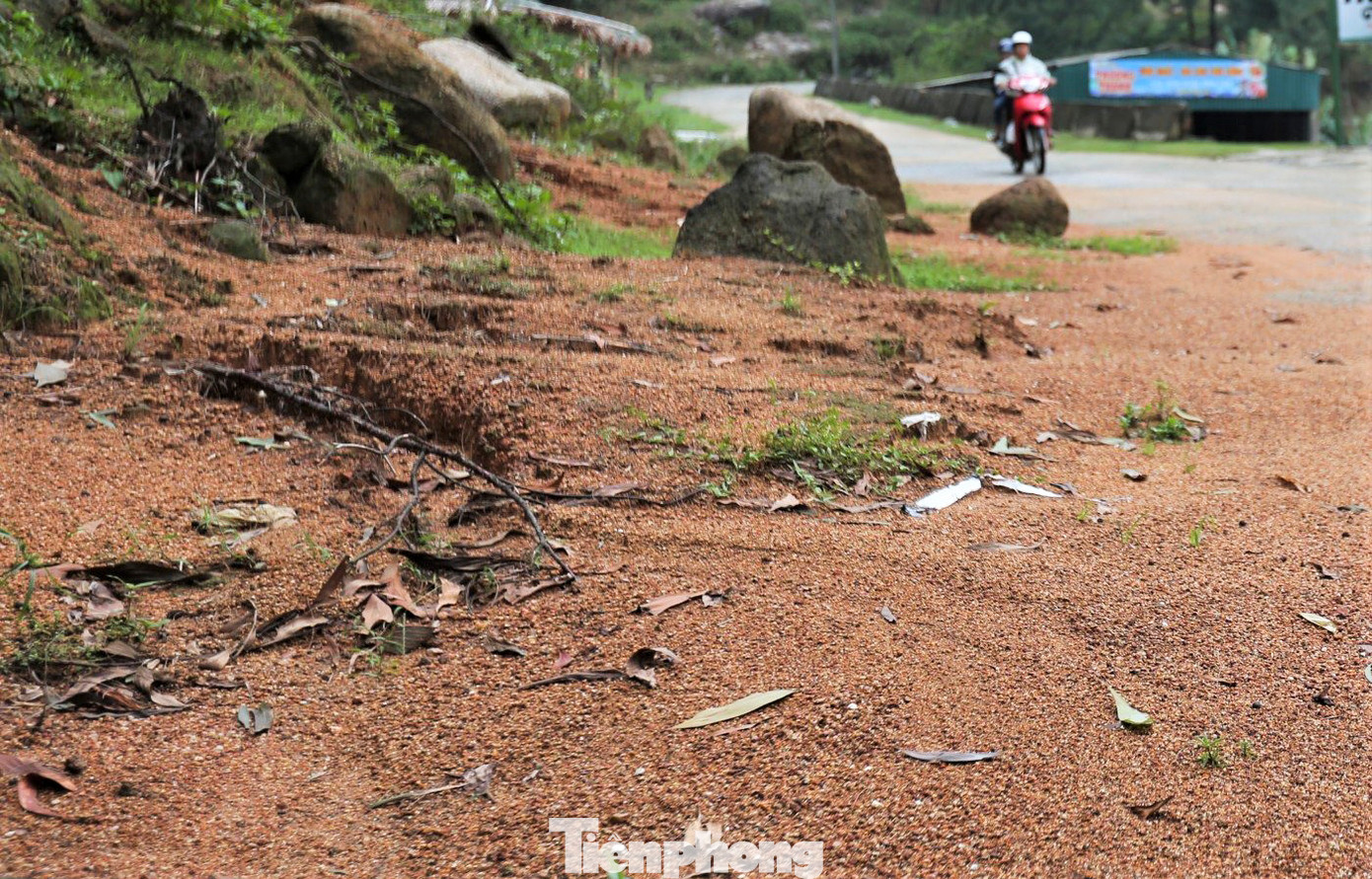 “Năm nay khối lượng sạt lở ít hơn so với năm ngoái, tuy nhiên xuất hiện thêm một số điểm sạt lở ăn sâu vào mặt đường, chính quyền địa phương phải đặt biển cảnh báo ngăn người dân đi vào khu vực sạt lở”, lãnh đạo địa phương thông tin. “Năm nay khối lượng sạt lở ít hơn so với năm ngoái, tuy nhiên xuất hiện thêm một số điểm sạt lở ăn sâu vào mặt đường, chính quyền địa phương phải đặt biển cảnh báo ngăn người dân đi vào khu vực sạt lở”, lãnh đạo địa phương thông tin.
